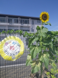 千葉 県 警察 学校 郵便 番号注册