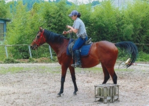 牧場スタッフがハルウララ号に乗馬している写真